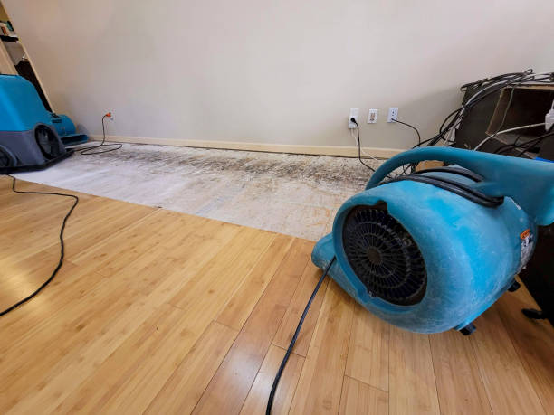 Professional Sewage Cleanup technician working in Haskell, NJ
